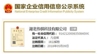 智萊科技前員工低價(jià)突擊入股疑云 供應(yīng)商關(guān)聯(lián)與技術(shù)轉(zhuǎn)讓風(fēng)險(xiǎn)